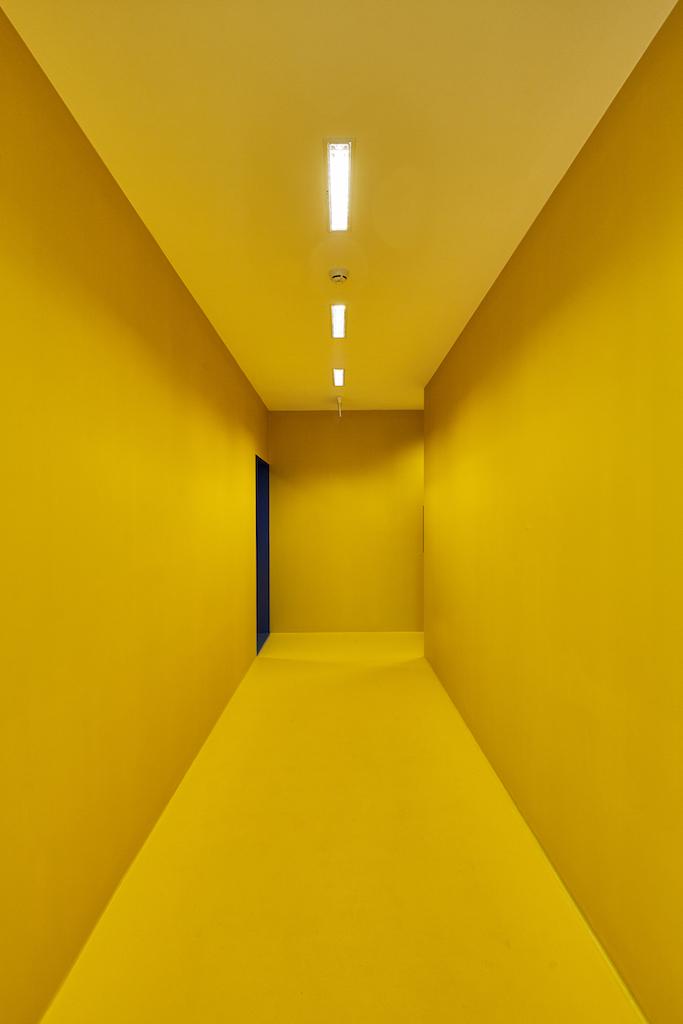 Sportdiagnosztikai Központ