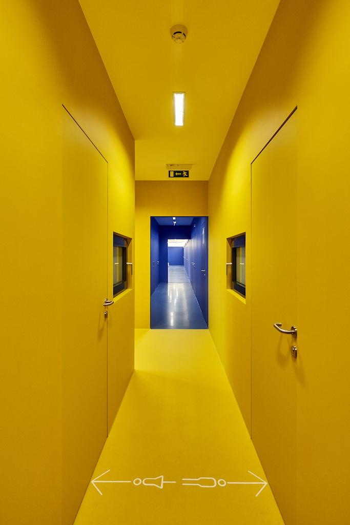 Sportdiagnosztikai Központ